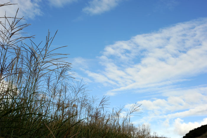 b0067346_1317627.jpg
