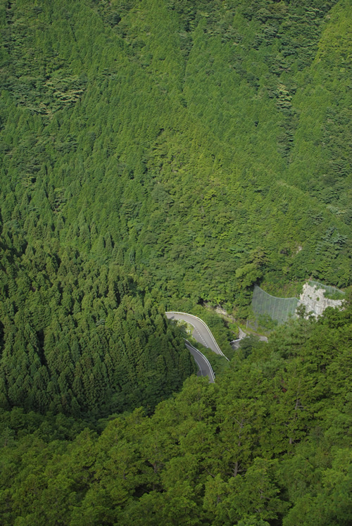 a0166150_8591798.jpg