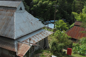 a0166150_903541.jpg