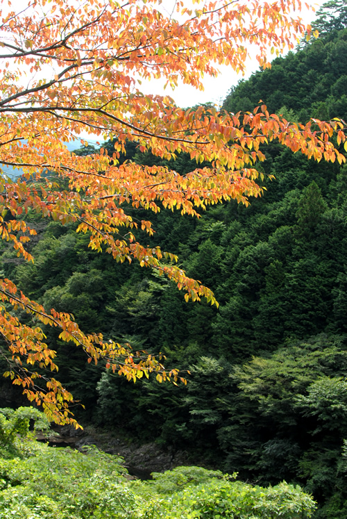 a0166150_924144.jpg