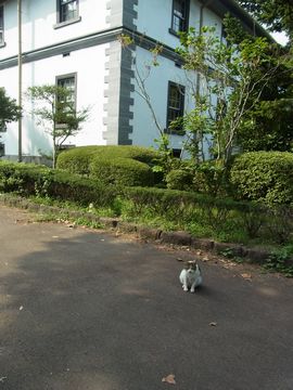 e0140354_9541544.jpg