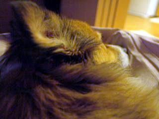 c0170957_925844.jpg