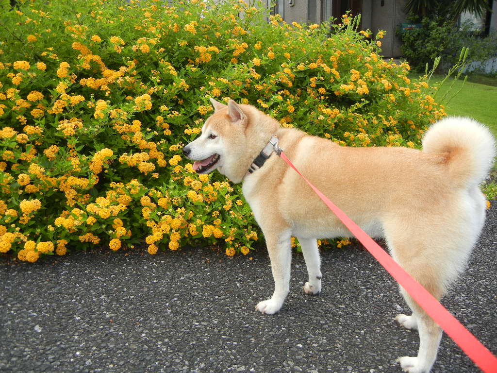 2011年9月20日(火)素敵な同窓会!_f0060461_1325217.jpg