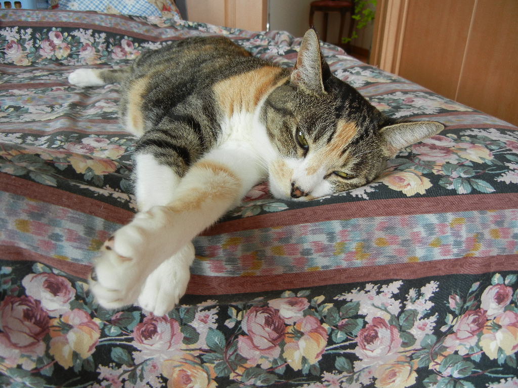2011年9月20日(火)素敵な同窓会!_f0060461_13305994.jpg