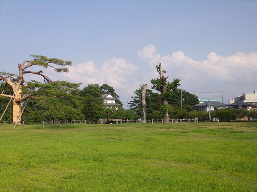 a0215163_0101484.jpg