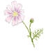 f0131263_94095.gif