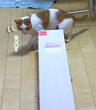 a0119470_261260.jpg