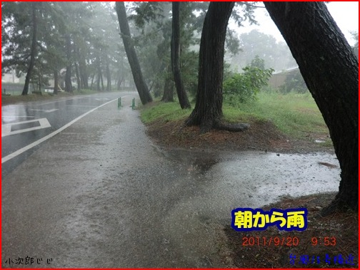 雨の1日　台風15号は最大級の警戒を　_d0007071_1715377.jpg