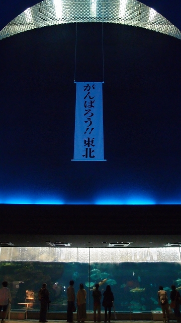 e0024081_153375.jpg