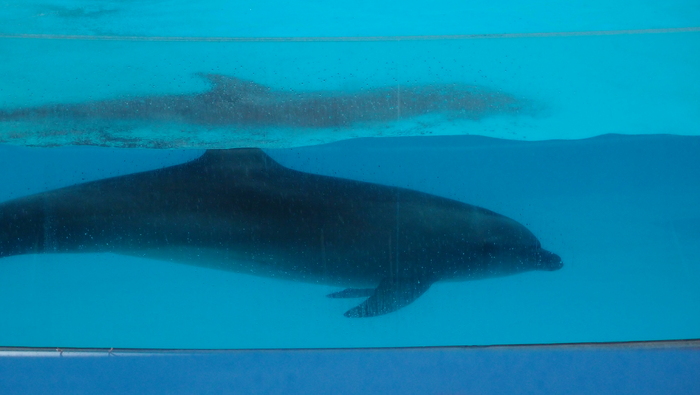 e0024081_1561659.jpg