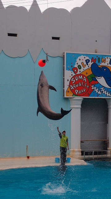 e0024081_157415.jpg