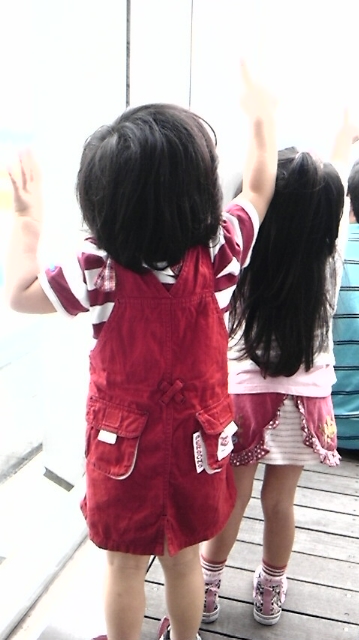 c0182782_1531569.jpg