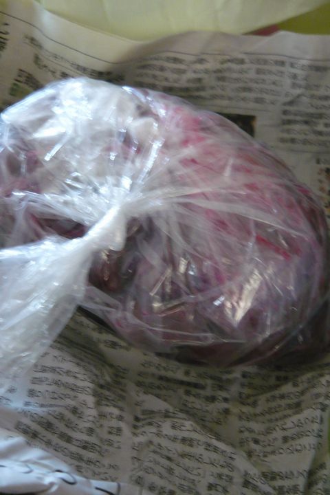 b0202185_36572.jpg
