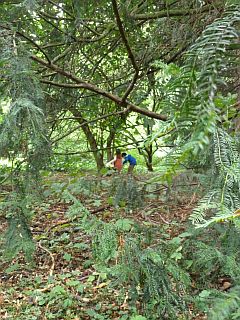 f0169885_10511.jpg