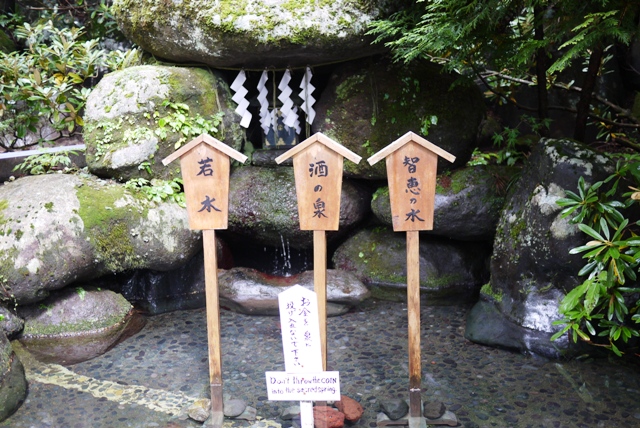 a0127090_19251249.jpg
