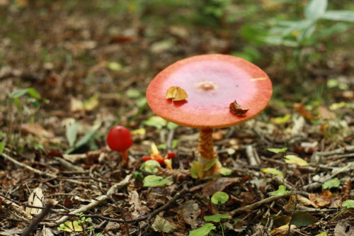 c0190900_615820.jpg