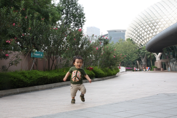 a0233910_1775891.jpg