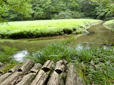 a0207411_2205180.jpg