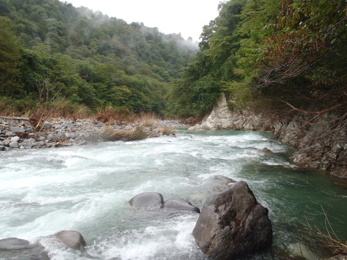 禁漁まじかの渓流釣行_a0236914_836273.jpg