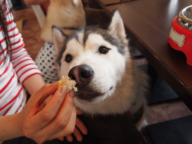 b0207615_20105759.gif