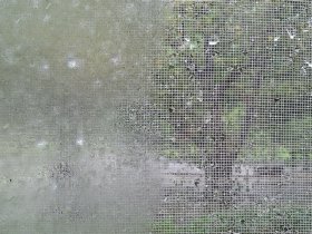 d0161919_12325899.jpg