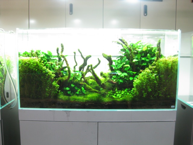 f0051220_10333852.jpg