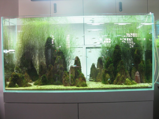 f0051220_10343186.jpg