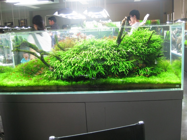 f0051220_1035323.jpg