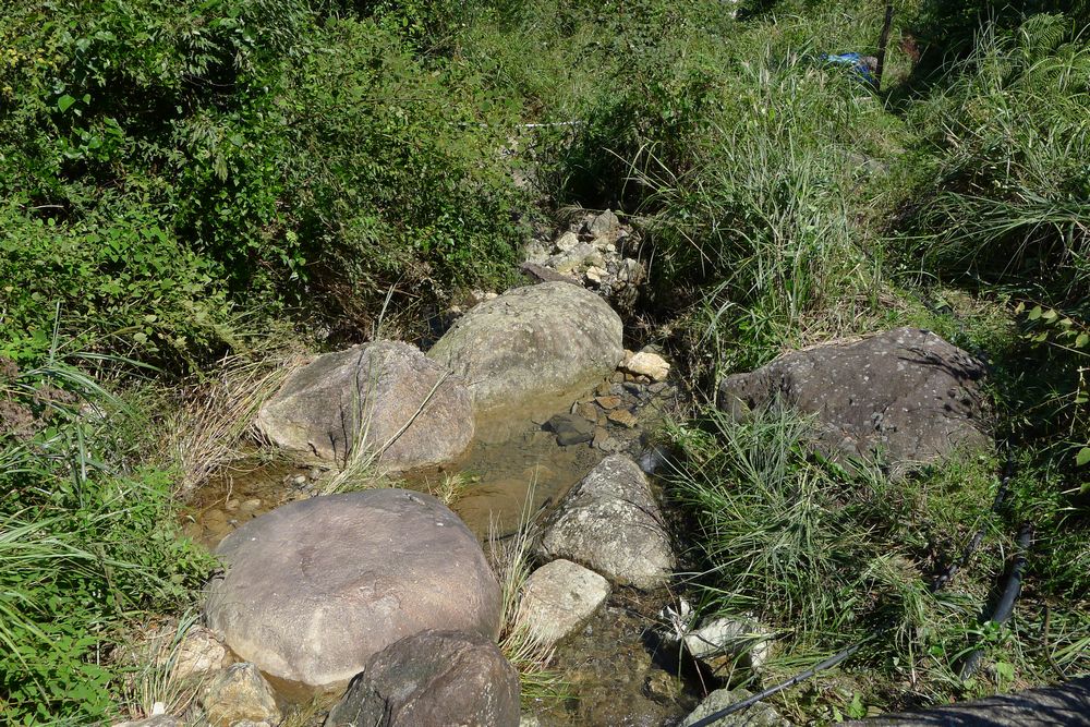 f0140720_0371179.jpg