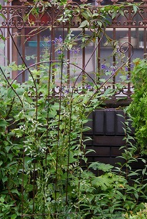 f0170524_13212548.jpg