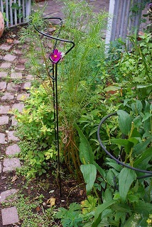f0170524_1337410.jpg