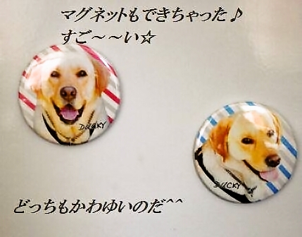 エリンギとトマトのフレッシュバジルのマリネ_d0104926_437195.jpg