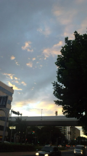 d0155128_2120297.jpg