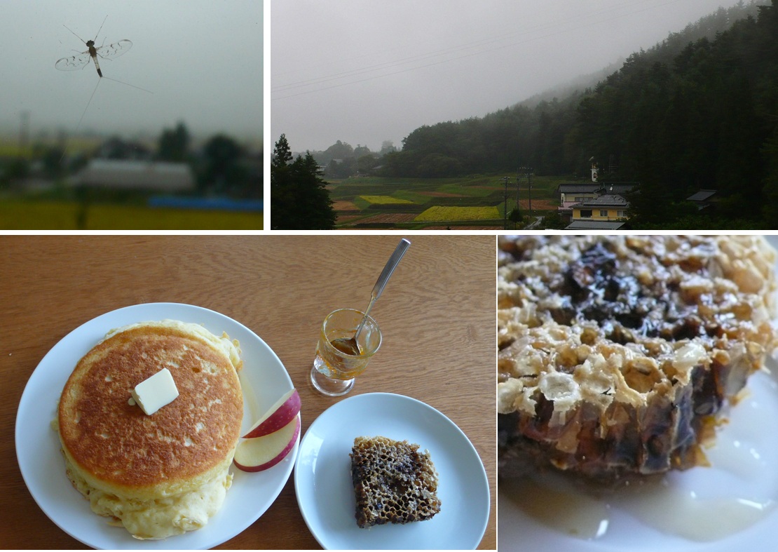 休みの日の朝 台風とパンケーキ 安曇野の風 カフェ 風のいろ