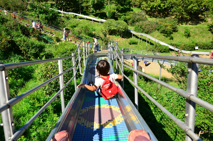 金沢自然公園２ アスレチック 以心伝心