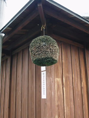 e0022839_1435248.jpg