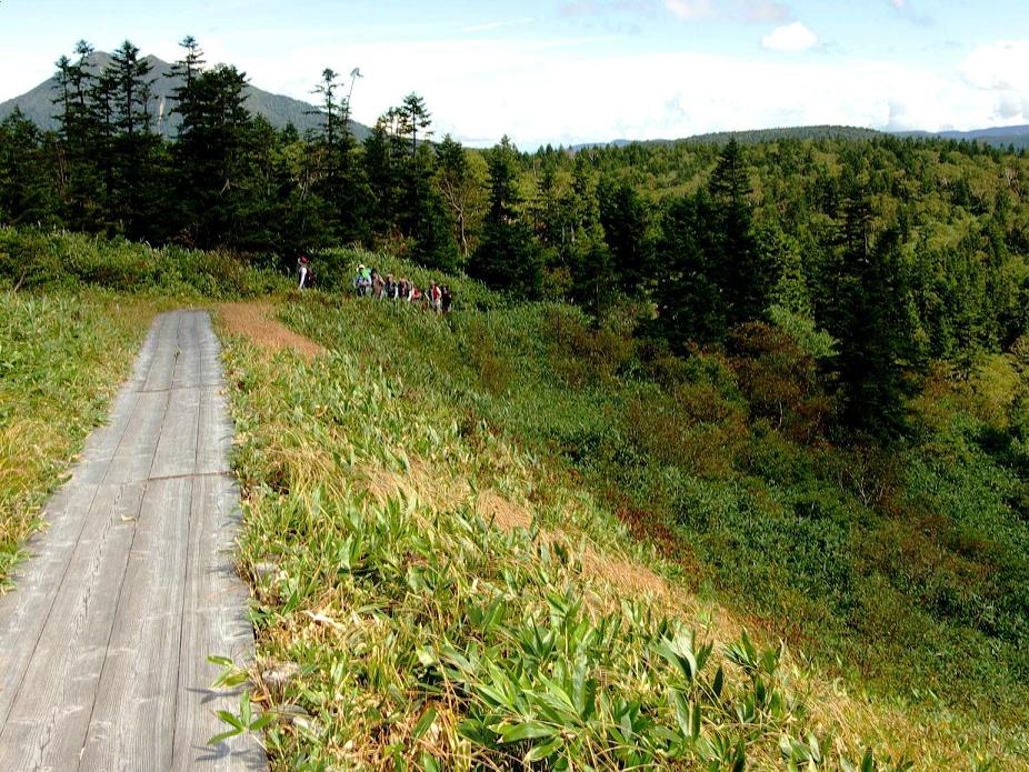 d0237340_2019919.jpg