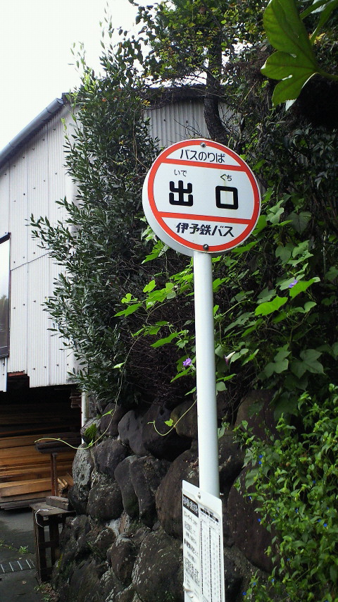 c0001670_19304251.jpg