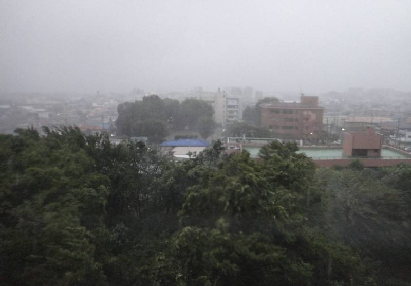 f0059673_18334763.jpg