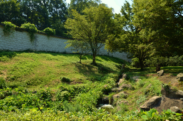 b0145677_21144456.jpg