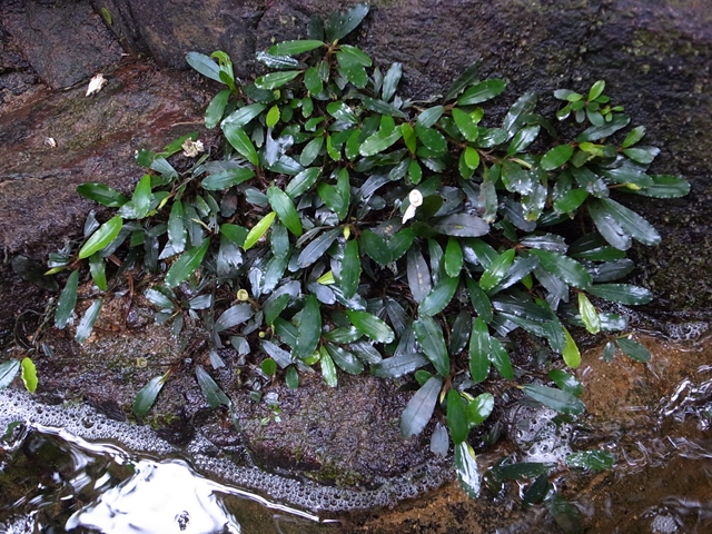 a0067578_1553840.jpg