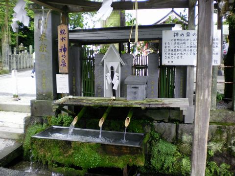 盛夏に深緑の山を走る3 (豊肥本線)_b0005281_12385222.jpg