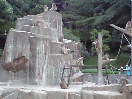 b0005281_1331415.jpg