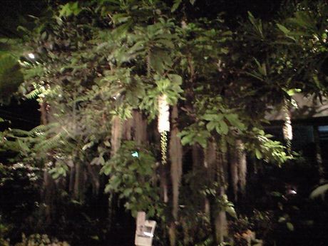 b0005281_13343167.jpg
