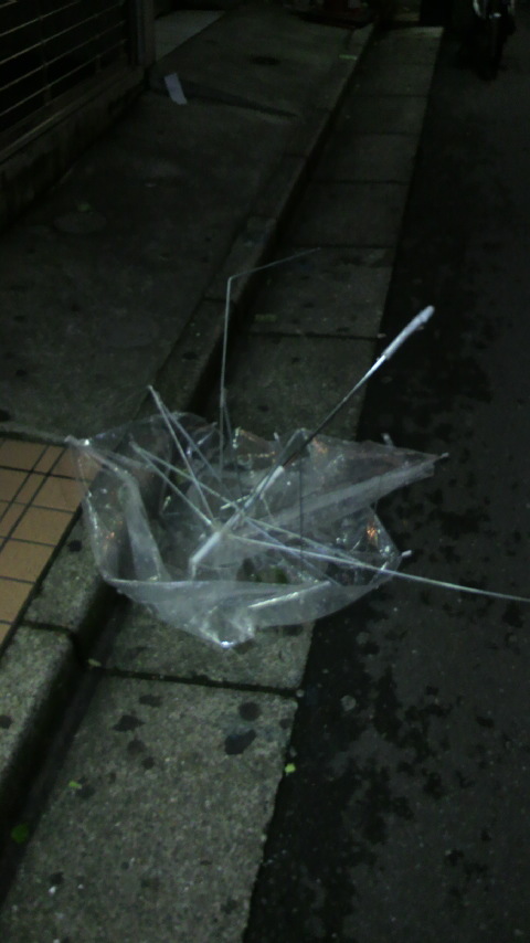 台風_a0075684_22571038.jpg
