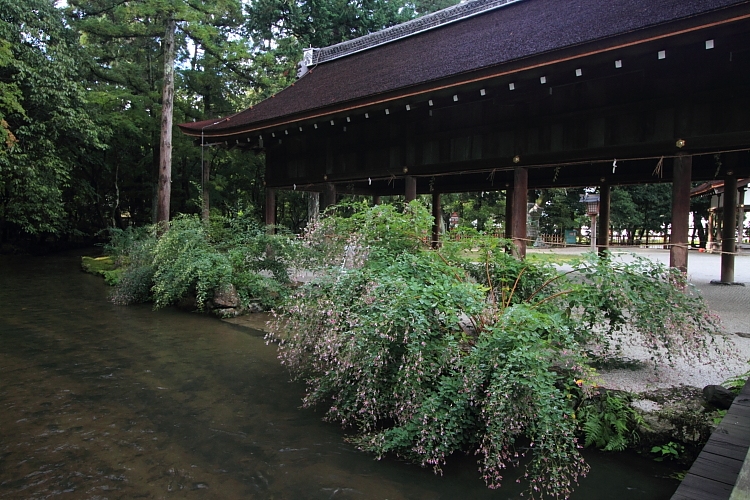 上賀茂神社_e0051888_124963.jpg