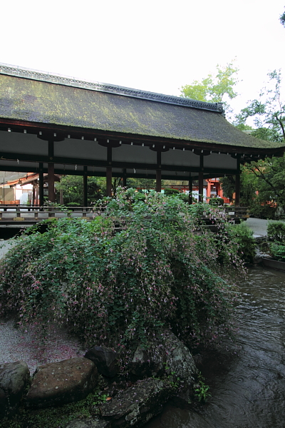 上賀茂神社_e0051888_13230.jpg