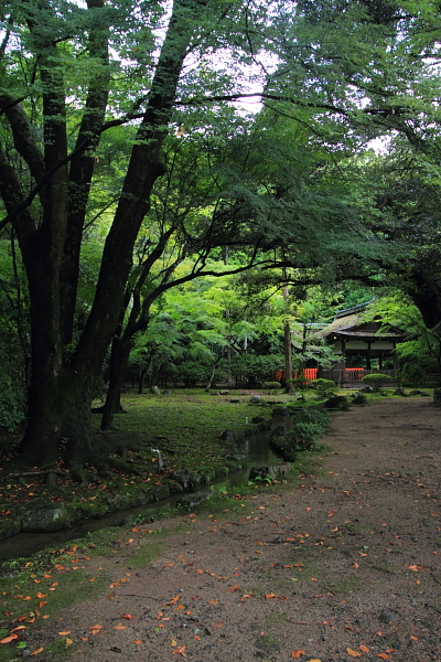 上賀茂神社_e0051888_142743.jpg