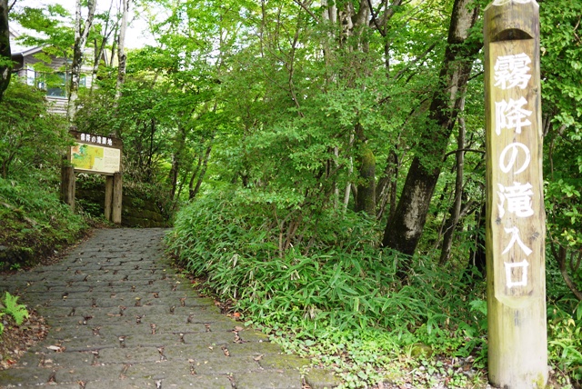 a0127090_19284294.jpg