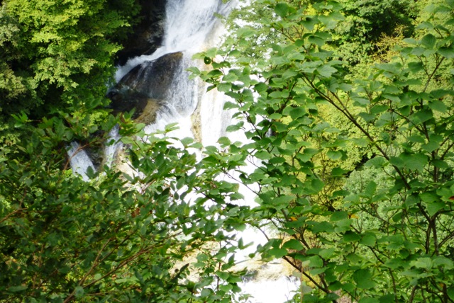 a0127090_19364554.jpg